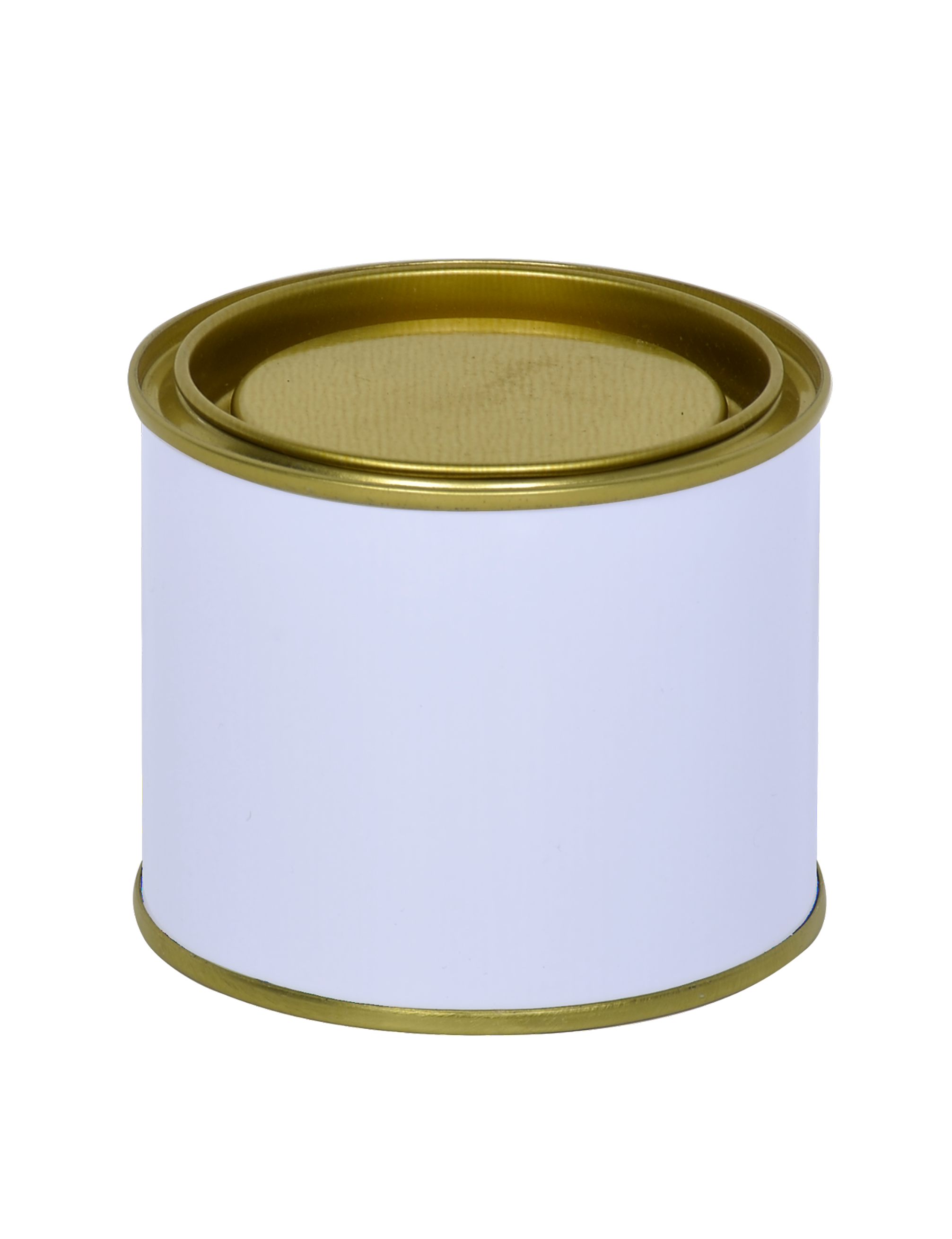 307mm Paint Can